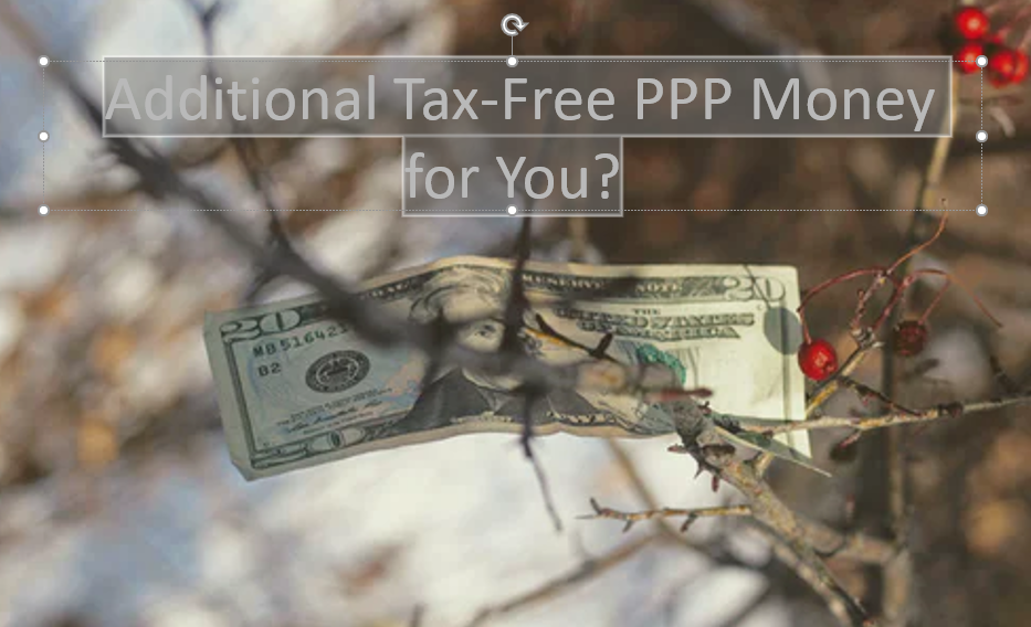 PPP Money