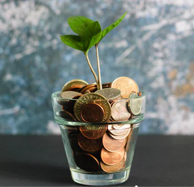 PPP loan
