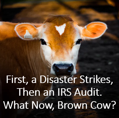 First, A Disaster Strikes, Then an IRS Audit
